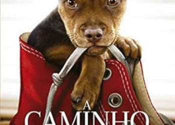 A Caminho de Casa! O Filme Que Vai Fazer Você Acreditar no Poder dos Laços