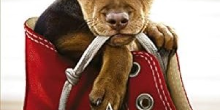 A Caminho de Casa! O Filme Que Vai Fazer Você Acreditar no Poder dos Laços