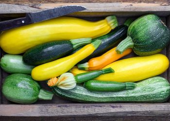 Verde no prato, sorriso na mesa: os benefícios da abobrinha