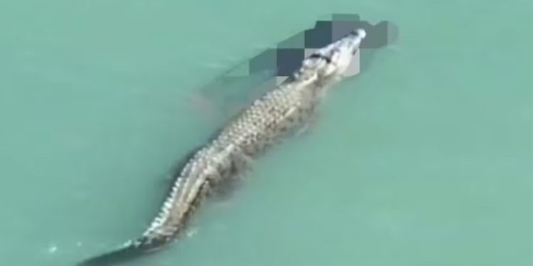 (Foto: Reprodução/Mail News)