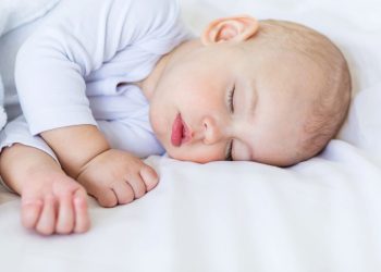 Bernardo o significado, origem e por que esse nome é sinônimo de força