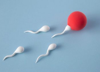 Abril Lilás: Como o câncer de testículo pode afetar a sua fertilidade