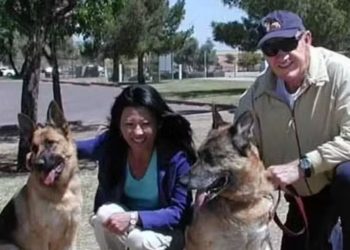 Caso Gene Hackman: polícia divulga imagens do cachorro protegendo o corpo da esposa do ator