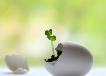 Infertilidade masculina: causas, diagnóstico e como tratar