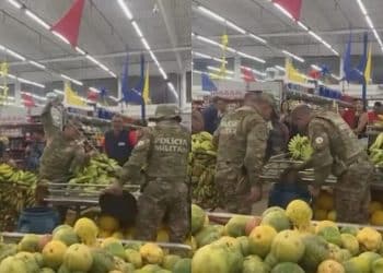 Chocante! Cobra coral é encontrada no meio das frutas em supermercado e apavora clientes