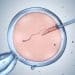 Nova técnica de fertilização in vitro aumenta chances em 20%