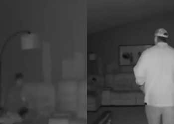 Após ouvir barulhos de madrugada, mãe olha na câmera de segurança e vê cena inacreditável