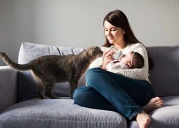 Como assim? Mãe exausta no puerpério recebe ajuda do… gato!