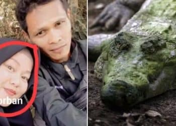 Mulher grávida de 8 meses perde a vida após ser atacada por crocodilo enquanto cozinhava