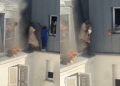 Vizinho salva crianças pela janela durante incêndio em prédio de Paris; veja o vídeo