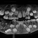 Menino de 7 anos tem 526 dentes retirados em cirurgia na Índia