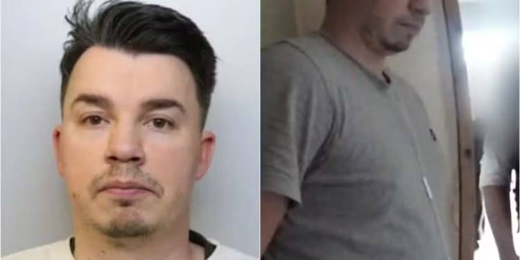 (Foto: Reprodução)