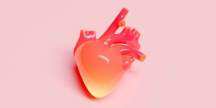 Coração humano em fundo rosa, representando a cardiopatia congênita em crianças.