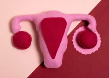 Sistema reprodutivo feminino em pano, em um fundo rosa claro e escuro, representando a gravidez ectópica.