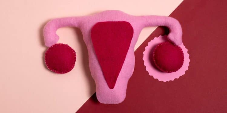 Sistema reprodutivo feminino em pano, em um fundo rosa claro e escuro, representando a gravidez ectópica.