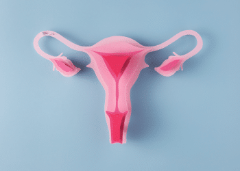 útero ilustrativo rosa em um fundo azul.