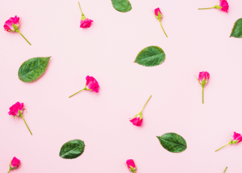 folhas e flores caindo