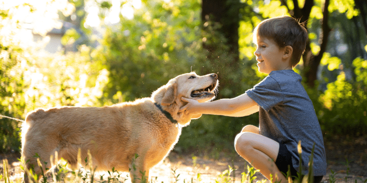 Conheça 7 benefícios que um pet trará para seu filho.