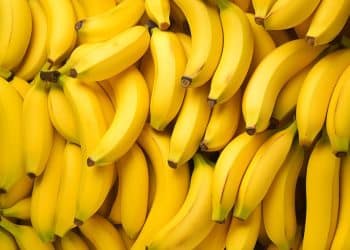 Pencas de bananas compondo um fundo uniforme.