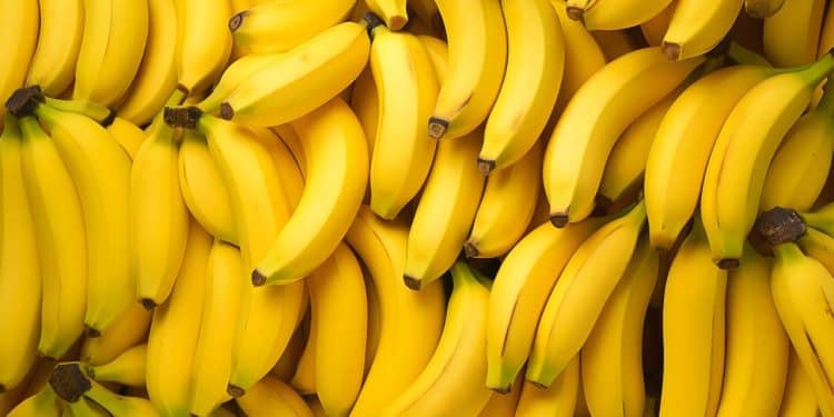 Pencas de bananas compondo um fundo uniforme.