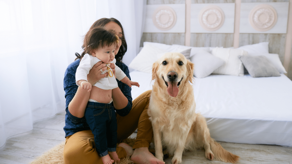 cachorro e família
