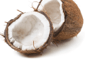 Imagem de um coco