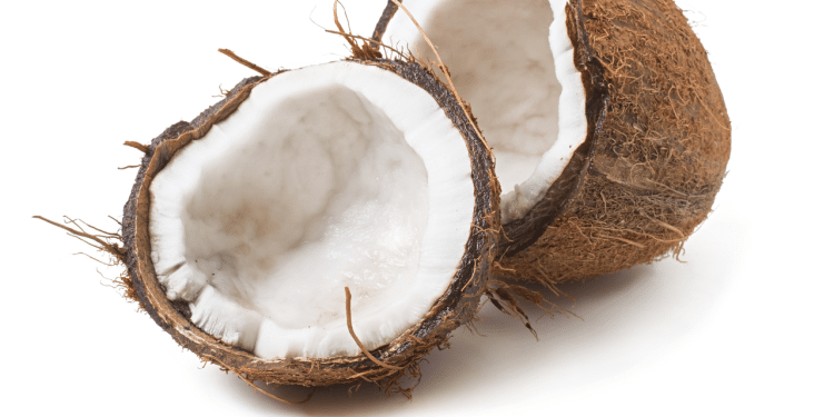 Imagem de um coco