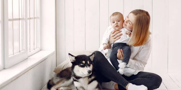 Mãe, bebê e pet em um ambiente de cor clara com janela.