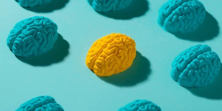 Cérebros coloridos representando as convulsões em bebês.