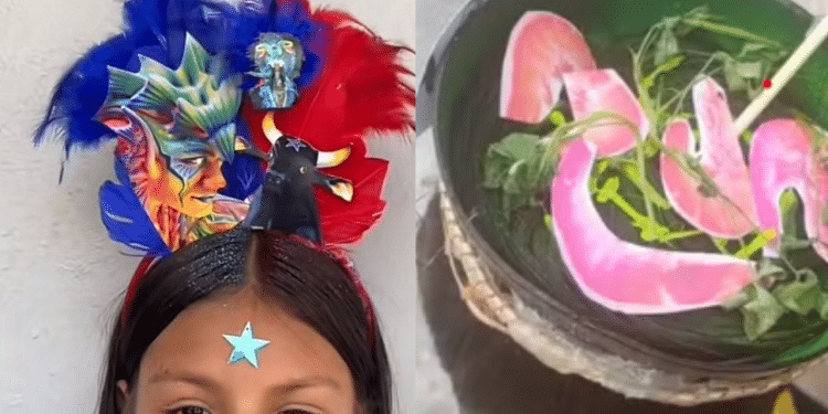 Montagem de duas crianças com peteados diferentes. Uma está com um boi na cabeça e a outra com uma flor, ambos de papel