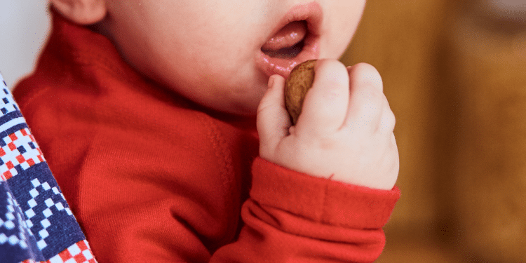 Bebê colocando um alimento na boca, o que parece ser um biscoito