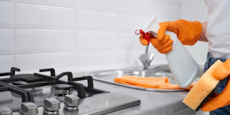 Higiene na cozinha: 5 truques para afastar pragas.