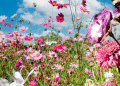 Flores com folhas rosas