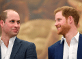 Príncipe William cita Harry ao falar do futuro como rei e dispara: “Não quero repetir o passado”