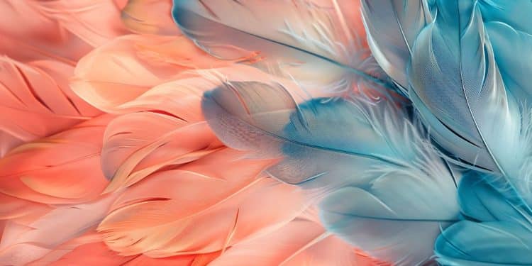 Penas representando os nomes indígenas.