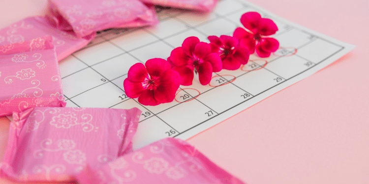 7 fatos sobre o ciclo menstrual que influenciam a concepção.