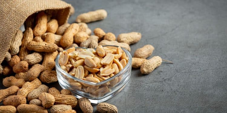 Saco de amendoim, representando as alergias alimentares nas crianças.