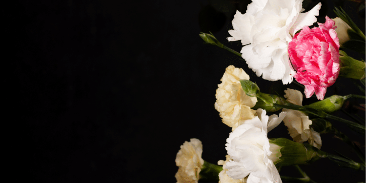 Como ajudar as crianças a lidarem com o luto?