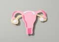 Representação do útero.