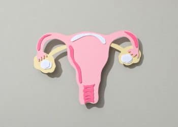 Representação do útero.