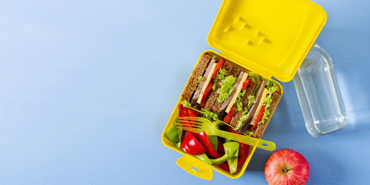 O que devo incluir na lancheira do meu filho?