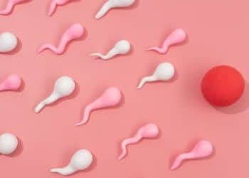 FIV: a importância do teste genético de embriões para mulheres com mais de 35 anos