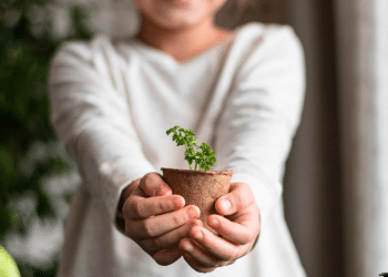 Criança segurando uma planta