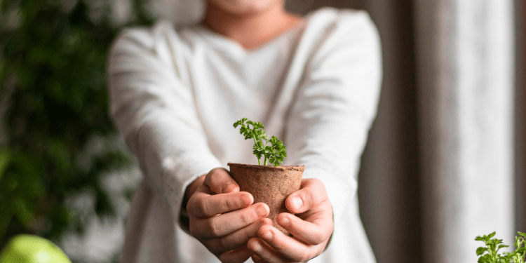 Criança segurando uma planta