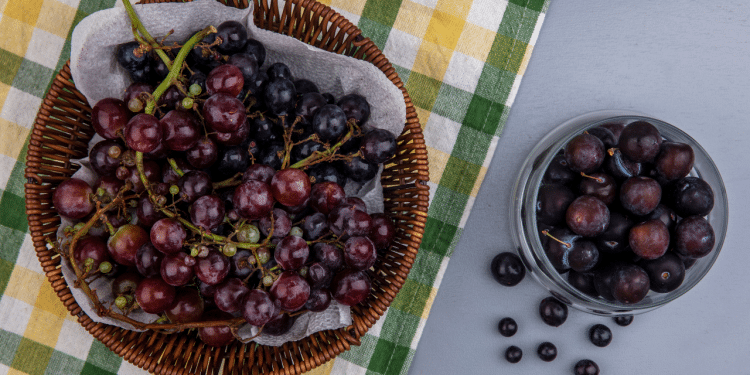 Bombom de uva na travessa para o Natal receita simples e deliciosa.